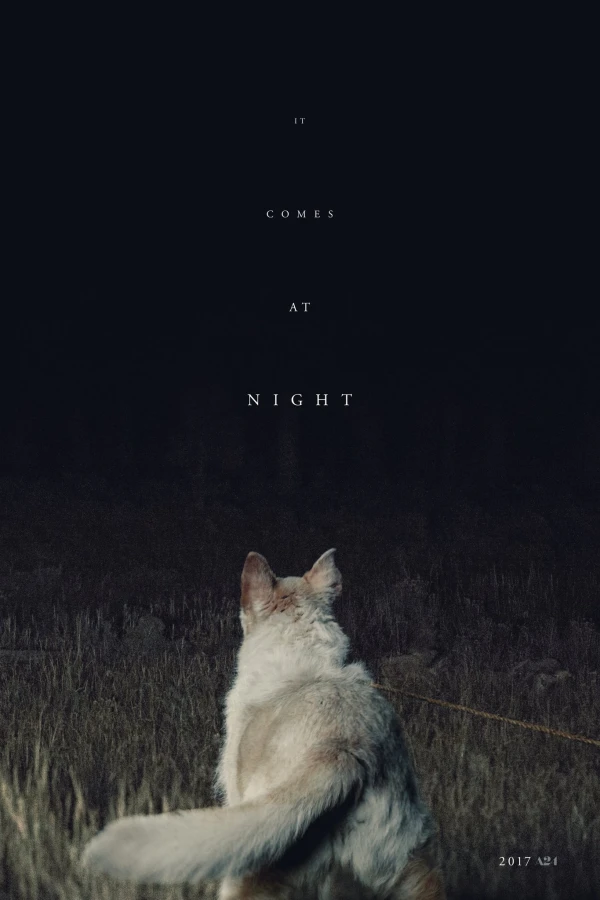 Llega de noche Poster